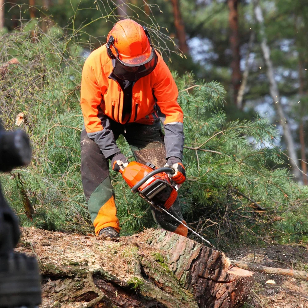 banner-upplands-arborist-3